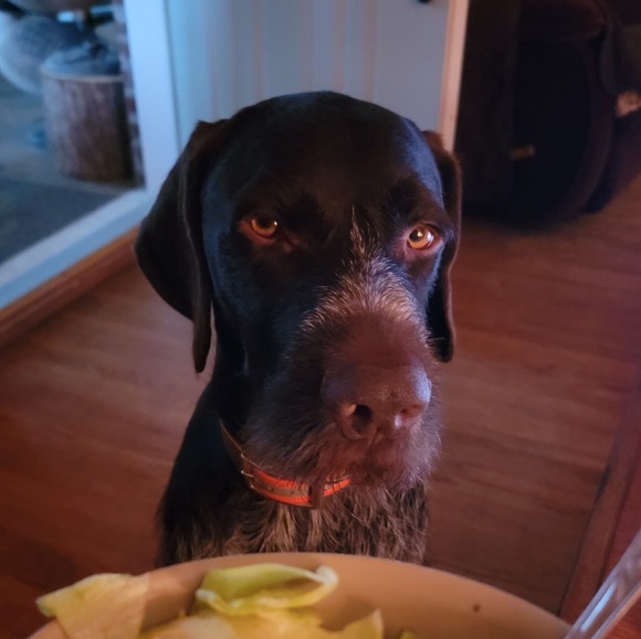 Meet your Posher, April - Picture 1 of 1